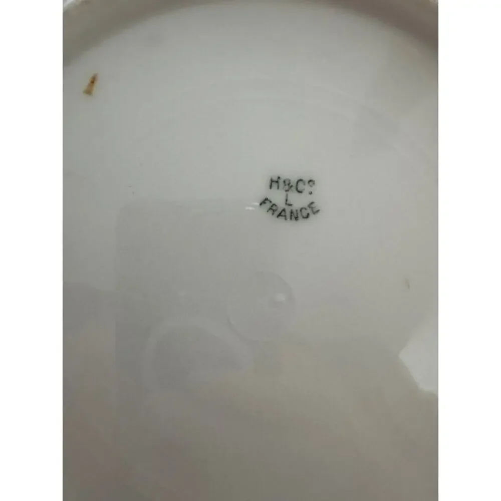Antique Haviland Limoges France Hand Painted Plate 8.5